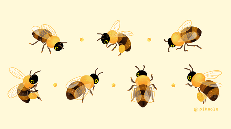 pikaole's tweet photo. 🐝 Honey bees 🐝 https://t.co/XJpab2X7UV