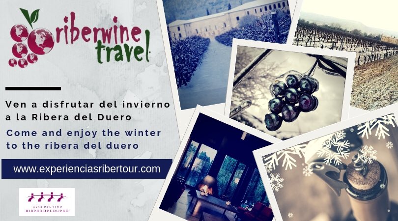 RiberWine's tweet photo. ❄️Ven a vivir el invierno en la Ribera del Duero!!! 

🍷Piérdete en sus parajes, disfruta de sus hoteles &amp; spa 5*, de sus viñedos y de una cena al calor de una chimenea con una buena copa de vino Ribera del Duero. 

Más info en: https://t.co/HU5BVWYf69 https://t.co/wvwPXHP5ZR