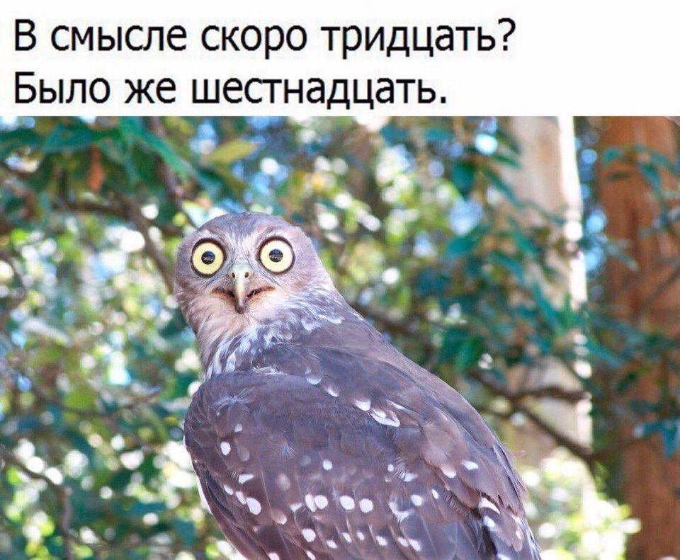 Картинка новый, прикольные картинки про 30 лет
