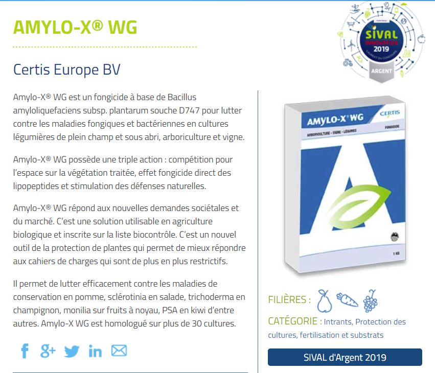 CertisBelchimFR's tweet image. Et 1, et 2, et 3 médailles... Certis France est fier de cette 3e médaille consécutive à #Sival19. Après un insecticide en 2017, un nématicide en 2018. Amylo-X®WG a reçu pour l'édition 2019 le Sival d'Argent. bit.ly/2S9eJZo #Biorational #Biocontrole #Arbo #Horti #Viti
