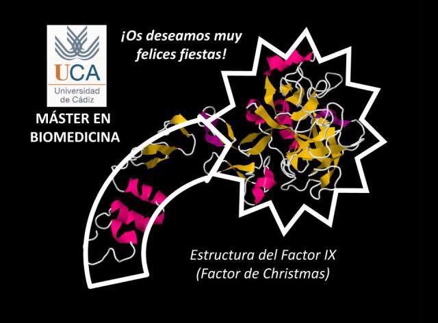 BioMedUCA's tweet photo. #MerryChristmas
El Factor de Christmas (o #FactorIX) es una #proteína de #coagulación. Su deficiencia causa la #Hemofilia B. 
Su nombre proviene del apellido del joven donde encontraron la deficiencia; Stephen #Christmas en 1952.
#biomedicina #ciencia #navidad https://t.co/ao8znraiZZ