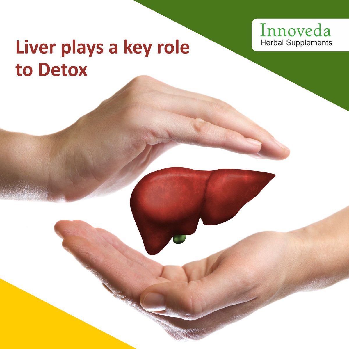 Charak_US's tweet photo. Liver works as a filter and plays a key role in detoxification. It helps our body to metabolize nutrients, eliminate harmful chemicals, alcohol, and drugs. 

https://t.co/QnFVlNvlc6

#livercare #healthyliver #liverdetox #livercleanse #herbal #herbs #ayurveda #healthandwellness https://t.co/vTc4520SKa