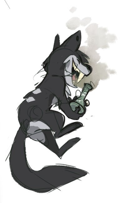 Sikkab's tweet image. IT ME. SWE.