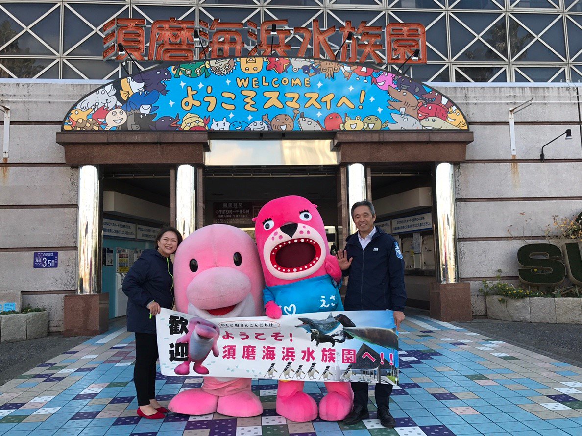 桂浜水族館 公式 Pa Twitter 今日は 神戸の須磨海浜水族園に行って 妹のピンキーちゃんと遊んできましたー おピンク姉妹ドリームマッチはどうやったろ おとどは たくさんの方に 会いに来たよー って声をかけてもらえて みんなと写真も撮れて スマスイの
