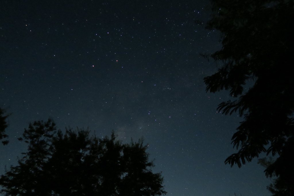 MozCollection's tweet photo. Clear, starry nights at Gorongosa National Park!

 #africa #wildlife #travel #animallovers #lions #nature #wanderlust #adventure #wildlifephotography #travelgram #animals #wild #traveling #explore #outdoors #landscape #getoutside #naturephotography #wilderness #natgeo https://t.co/3gq9cELxJH