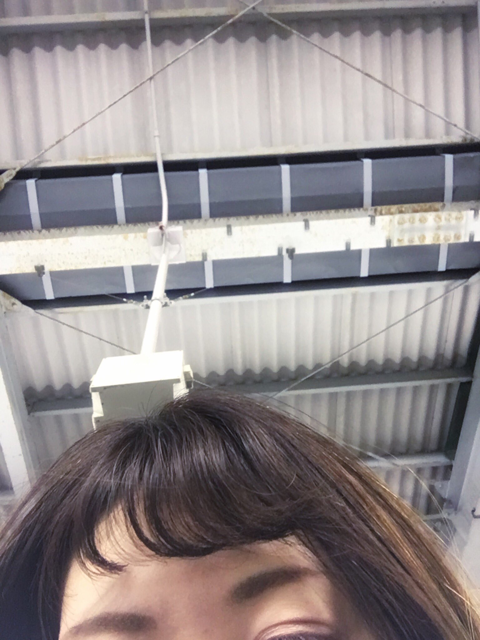 S Kyui 前髪にパーマかかりすぎてえらいことになった 後悔や T Co W6szns2cyv Twitter S Kyui 前髪にパーマかかりすぎてえらいことになった 後悔や T Co W6szns2cyv Twitter