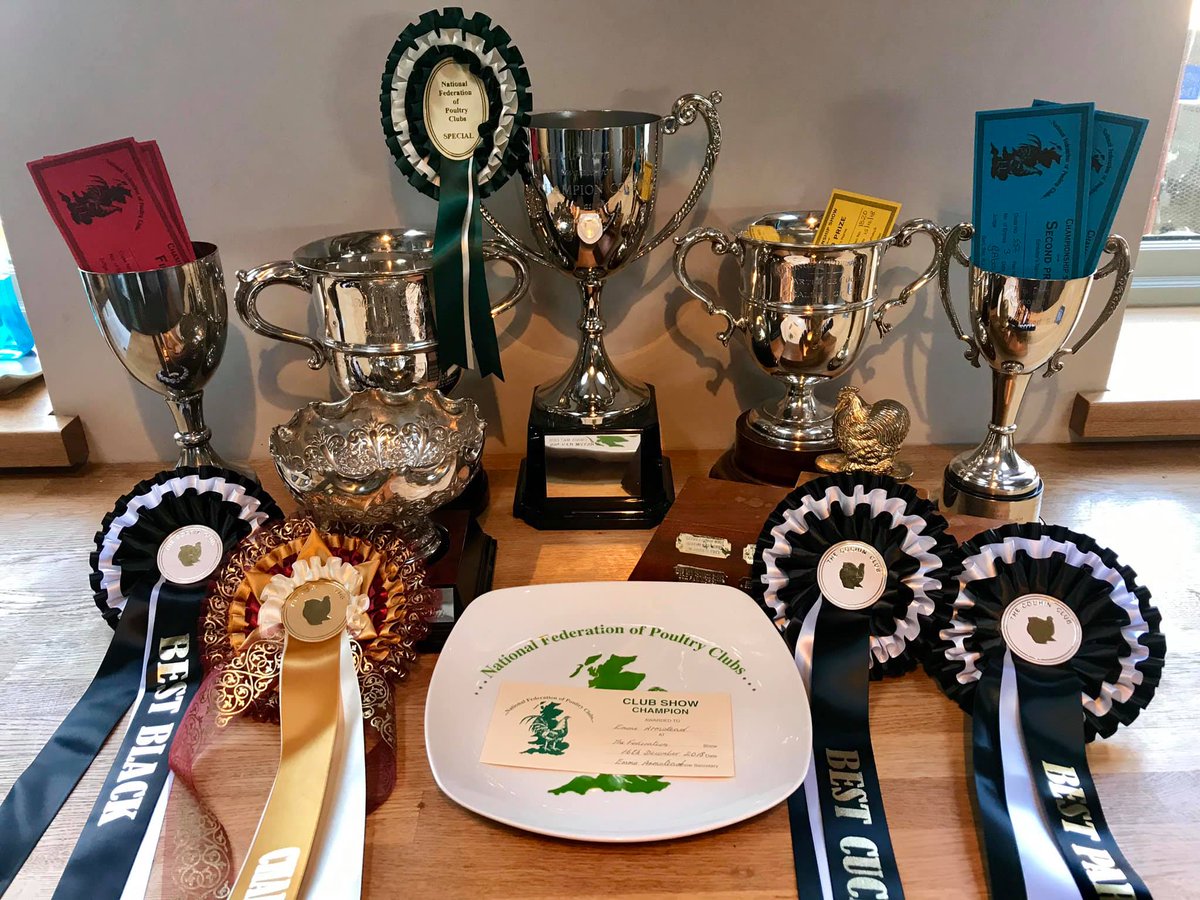 MarriagesFeed's tweet photo. Congratulations to Emma Armstead and her Cochins for winning Best of Breed, Best Cuckoo, Best Partridge and Best Black at the Federation Poultry Show. All Emma's prize winning birds are #FedByMarriages

#Winners #BestofBreed #MarriagesFeed #CochinClub #FederationShow https://t.co/PLHafAbfHT