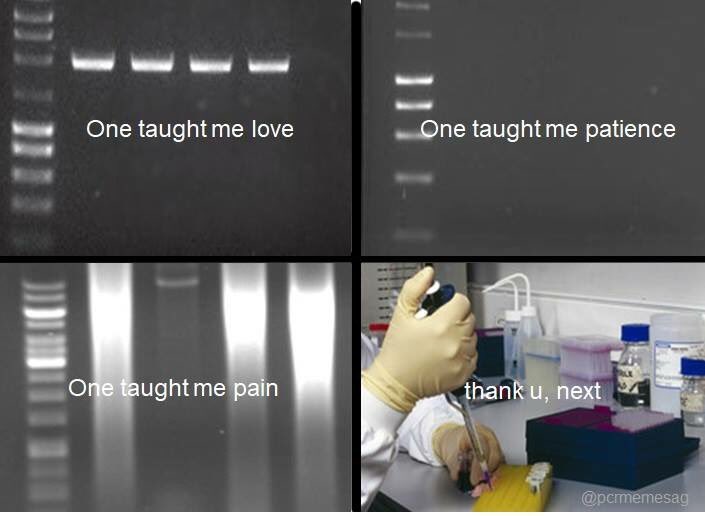 USW_medprepsoc's tweet image. #PCRproblems