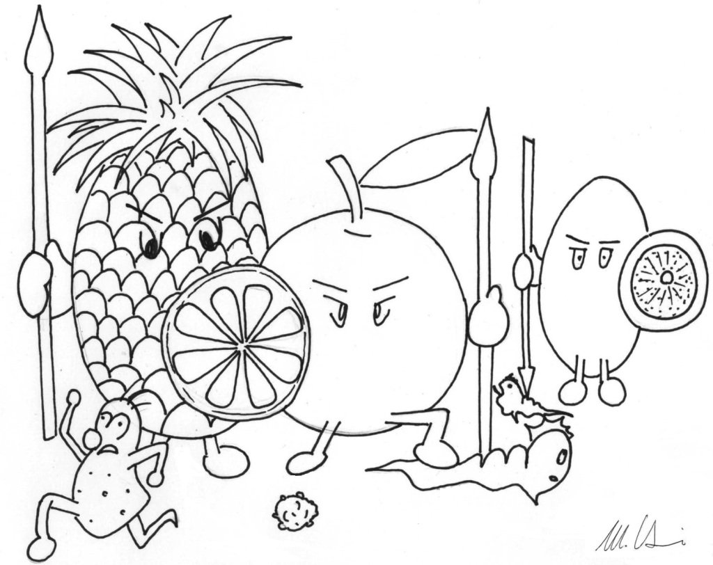 GazzettaDel's tweet photo. Per la rubrica "Schizzi di Benessere" ecco una simpatica illustrazione sull'utilità della vitamina C contro i classici malanni da raffreddamento causati da virus e batteri. #vitaminac #malannidaraffreddamento #influenza #tosse https://t.co/1qAh8VprFa https://t.co/KOyw1pww8Z