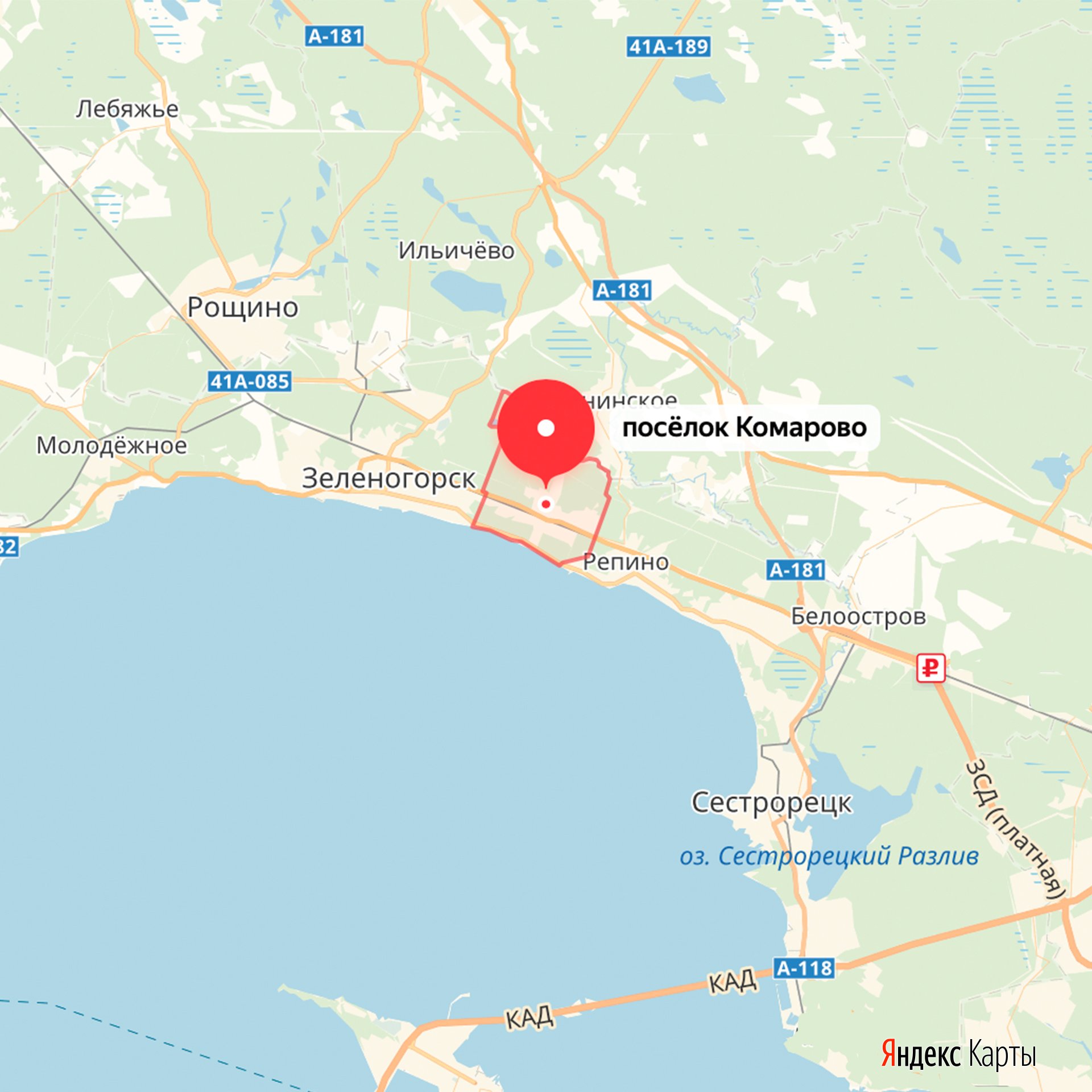 как доехать до репино