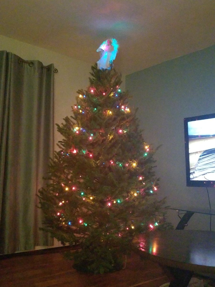 BodatiousSteph's tweet image. It&apos;s beginning to look alot like Christmas XD