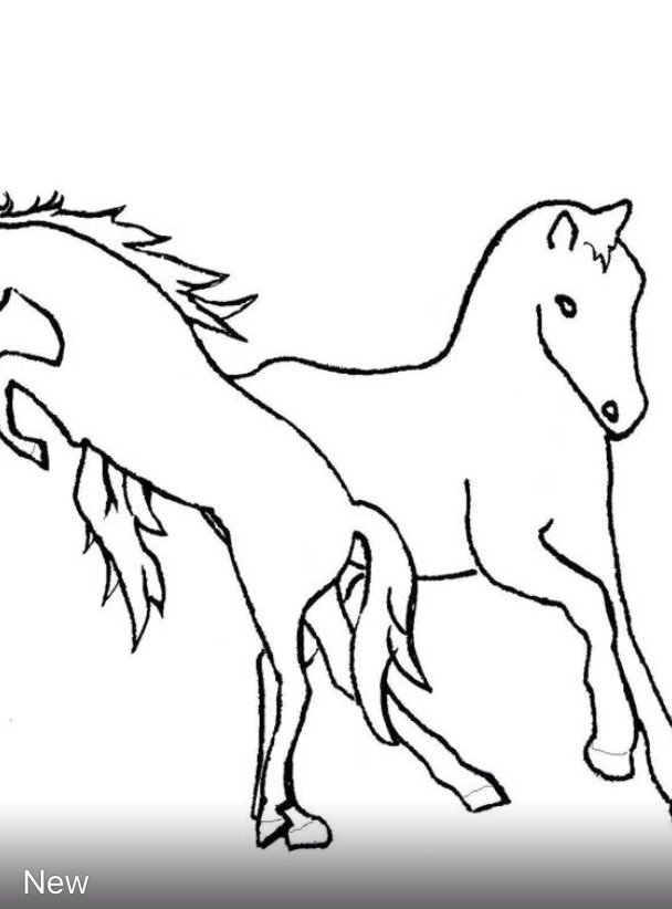Greg_Devaux's tweet photo. Work in progress
Bientôt la naissance officielle d un nouveau site...🐎🐣👨‍💻😍 https://t.co/IQ6RdH2VXN
