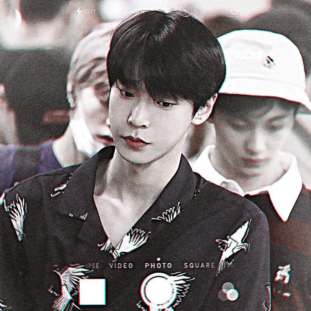 🦋 tweet media