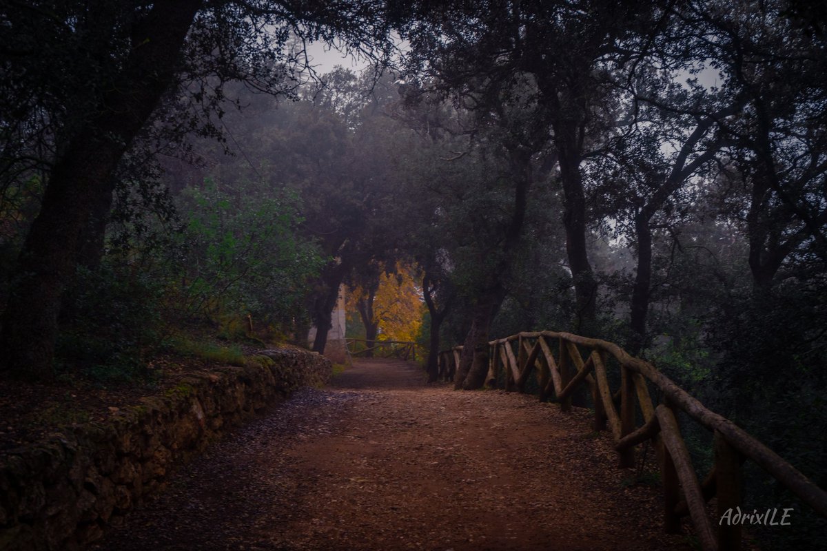 AdrixILE's tweet image. Fuente roja de Alcoy, un paisaje natural y precioso, nevado es espectacular.

#alcoy #alcoi #parquenatural #fuenteroja #javea #xabia #foto #fotografia #bosque #followforfollowback