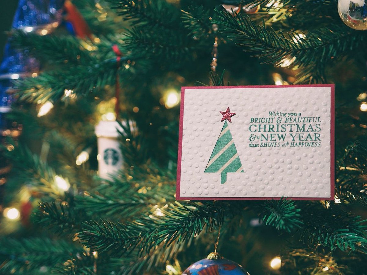 Heybridge's tweet photo. Please take a look at our Christmas Hours: https://t.co/ulb3rrqjrH
.
.
.
#webdesign #webdevelopment #news #wordpress #wordpress #theme #updates #heybridgecreative #creative #design #webdeveloperuk #digitalagency #digitalagencyuk #christmas #christmashours #festive #holidayseason https://t.co/fm5raHFqu1