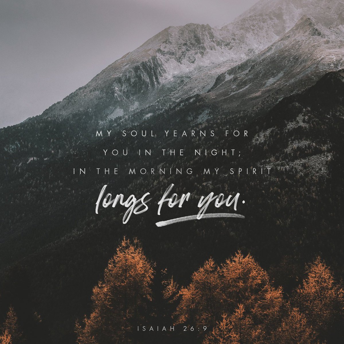 Daily_Bible's tweet photo. My soul yearns for you in the night; in the morning my spirit longs for you. When your… https://t.co/ZYo75OmgTy https://t.co/MsJI0LvxSN