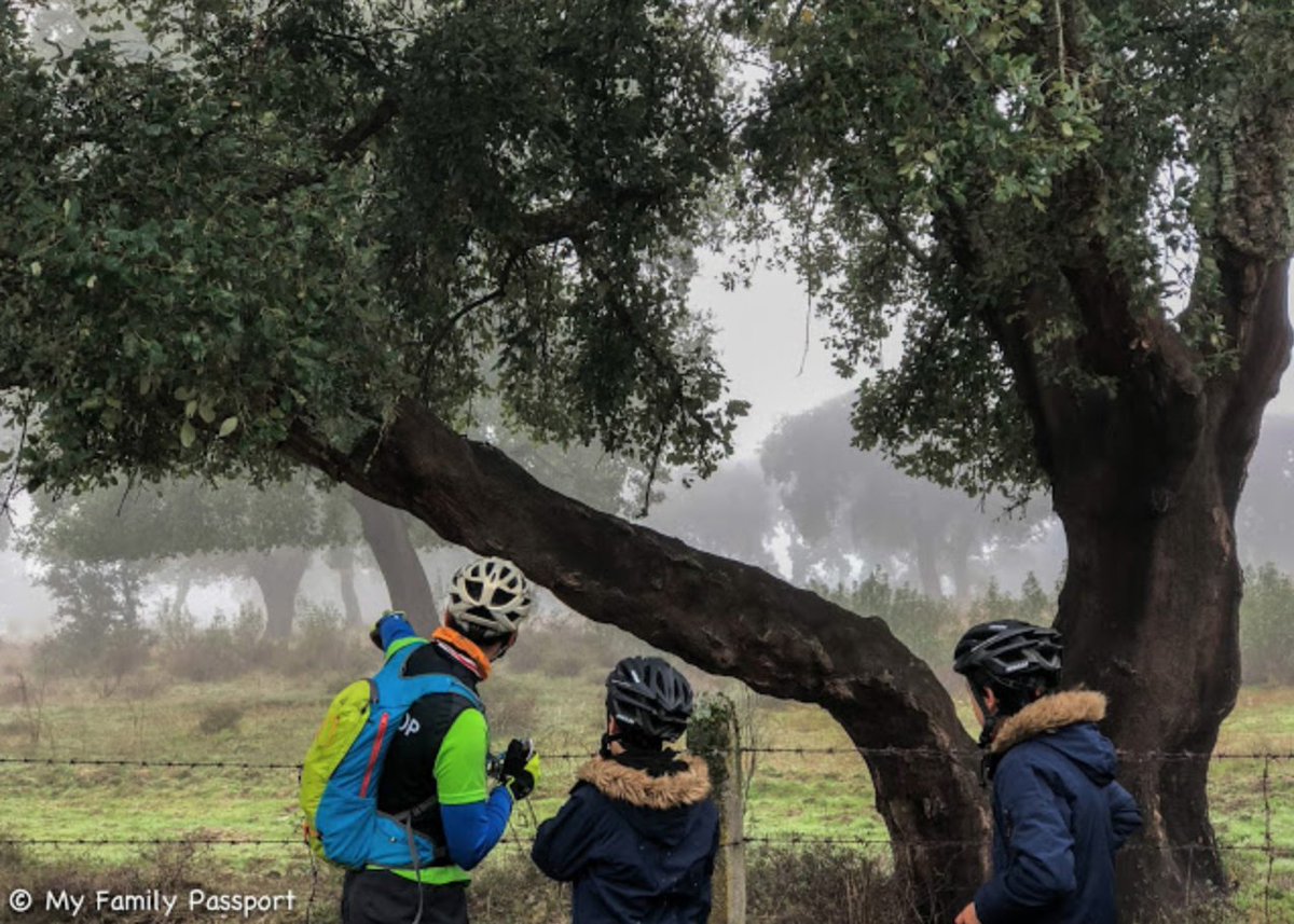 Descubre todo lo que puedes disfrutar en la Reserva de la Biosfera de Monfragüe ow.ly/AXtP30n1raX <a href="/Turismo_DipCC/">Turismo Provincia Cáceres</a> #Monfraguewithkids