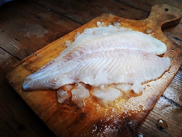 nalayan_id's tweet photo. Berbicara tentang pola hidup sehat tentu sulit untuk lepas dari apa yang kita konsumsi. Sama halnya apabila kita berbicara tentang makanan yang sehat tentu sulit untuk tidak membahas Ikan Laut sebagai pilihan konsumsi anda. Kandungan gizi yang melipah te… https://t.co/vI9IMb86Rb https://t.co/UEWQyc85zm