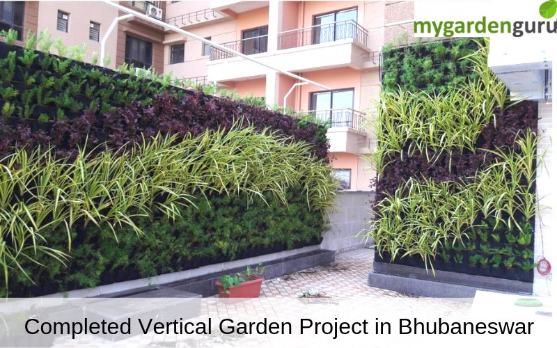 Make your society nature friendly with MyGardenGuru.
We have recently completed residential project in Bhubaneswar.
lifewall.in

#greenwalls #pollutionprevention #gardenwall , #outdoorgardening, #livingwall
#exteriorgardens