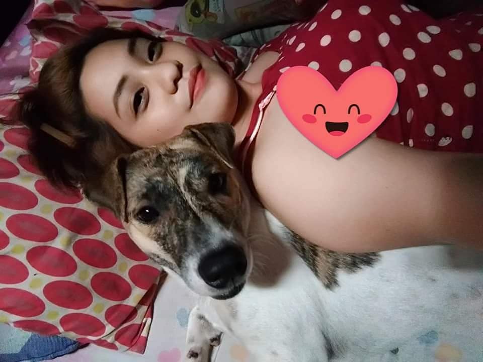 Lanie1289's tweet photo. Yung magpapahinga ka nalang pero may makulit na doggie na sisiksik sayo ☺️😁
#myloveBridgette
#jackRussell https://t.co/dC8PX50je1