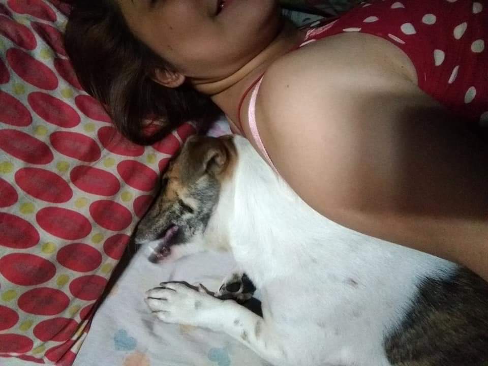 Lanie1289's tweet photo. Yung magpapahinga ka nalang pero may makulit na doggie na sisiksik sayo ☺️😁
#myloveBridgette
#jackRussell https://t.co/dC8PX50je1