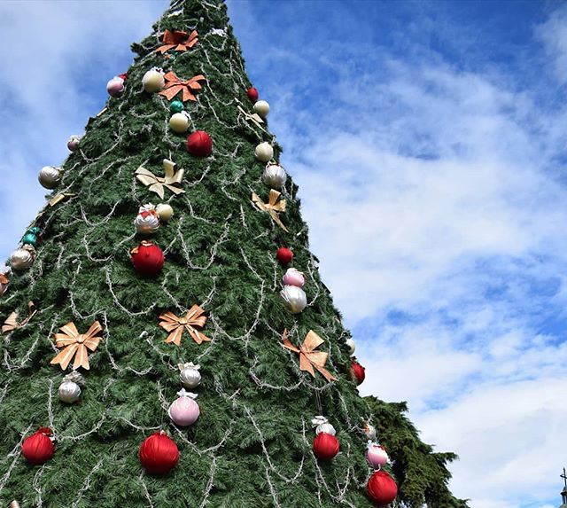 CaraotaDigital's tweet photo. La Navidad es una época que despierta la solidaridad y el agradecimiento. ¿Cuántos piensan lo mismo?🎄🎄
.
Foto @extremo_ancestral .
.
Recuerda que puedes compartir fotos o videos utilizando nuestro #BuenosDíasConCaraota.
.
#BuenosDías #Navidad #Solidaridad #ColoniaTovar #18Di… https://t.co/O2AEpnjMeY