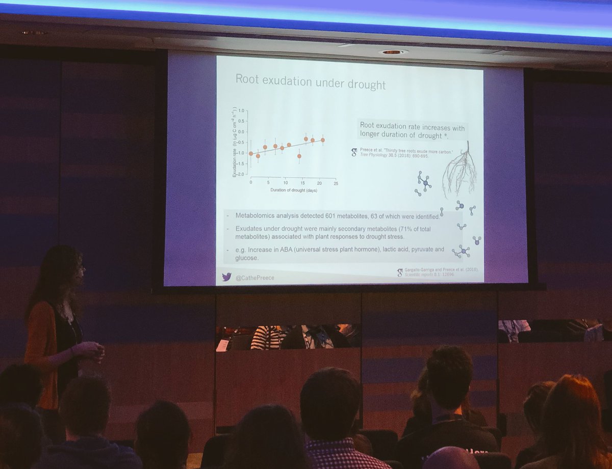 RouskLab's tweet photo. Will #RootExudates affect microbial communities under drought? Interesting assessments by @CathePreece #BES2018 #plantSoil #wereMicrobesDirectlyAffectedByTheDroughtTreatments? #indirectEffects #plantOsmolytes https://t.co/pc7PXYLY1O