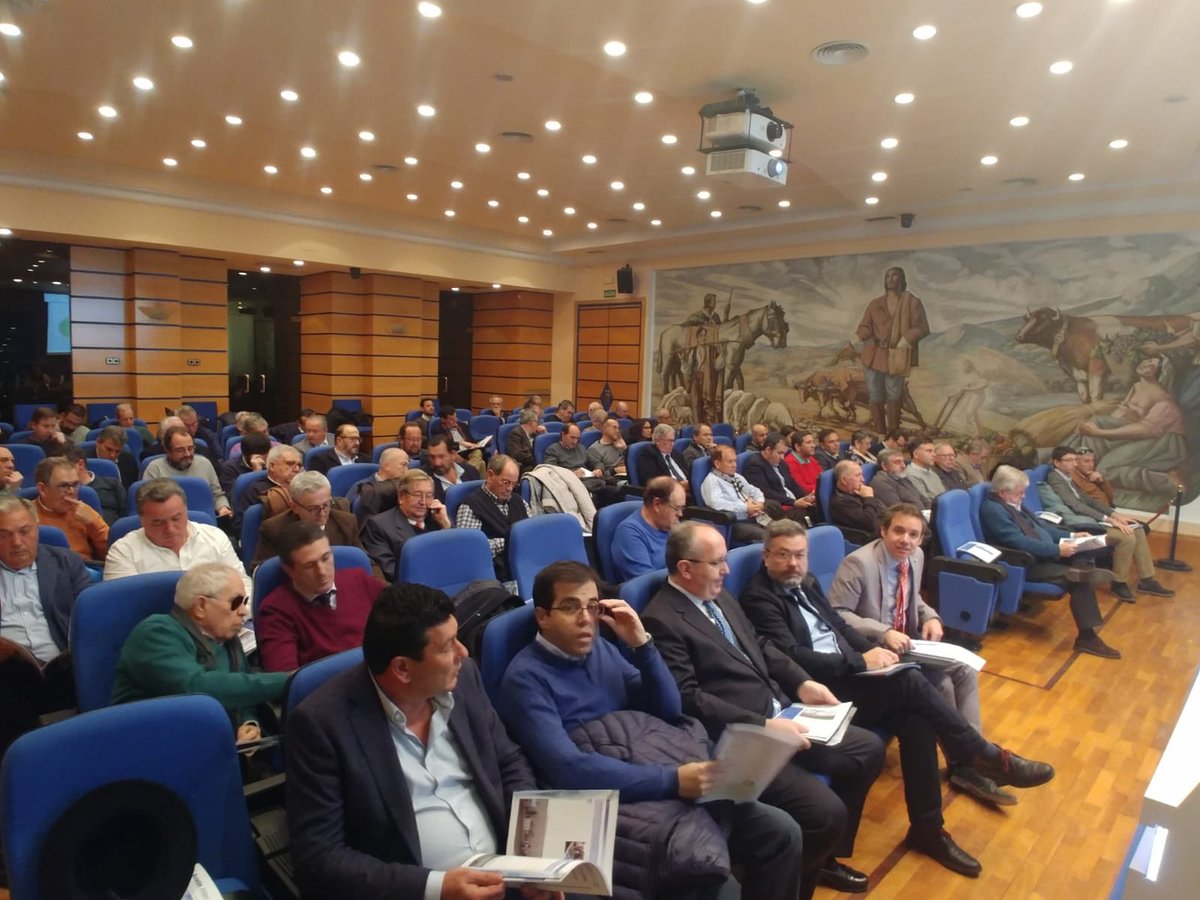 SEIASA💦🇪🇸 tweet media