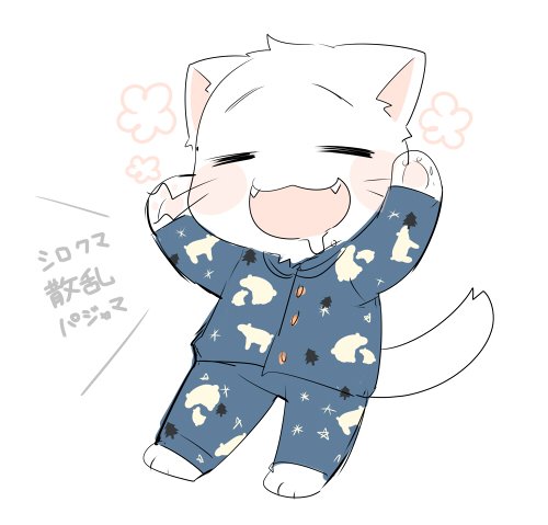 くそダサパジャマを買ってご満悦な僕です 