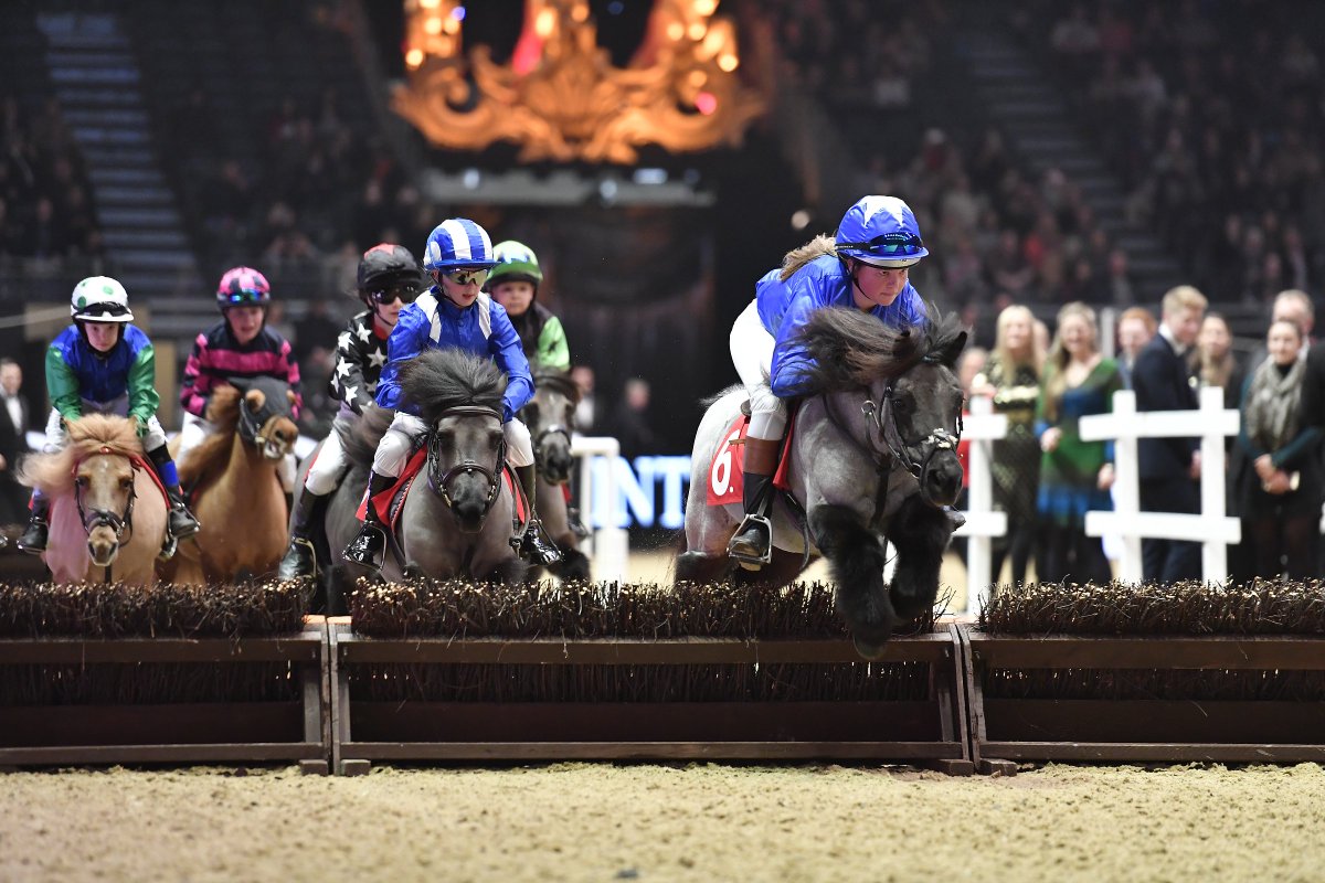LondonHorseShow's tweet photo. #OlympiaHorse day 2 highlights:

The Osborne Refrigerators Shetland Pony Grand National
La Garde Républicaine
The FEI Dressage World Cup™ Freestyle To Music supported by Horse &amp; Hound

If you have tickets to today's performance, have a look at the programme ahead of your visit. https://t.co/CZs0SOWiSK