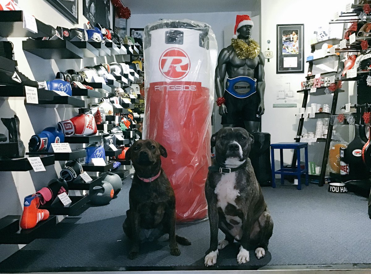 secondsout_'s tweet image. 🎄🎁 Xmas Competition Time🎄🎁
🥊 Win your gym this awesome 56kg Leather Ringside Jumbo Punchbag worth £500!
🎅🏻To enter simply retweet this tweet &amp;amp; follow us
⛄️Winner announced 6pm Christmas eve 

📦🐶Shipping &amp;amp; dogs not included!

Good luck! 😊👊
#SecondsOutXmas