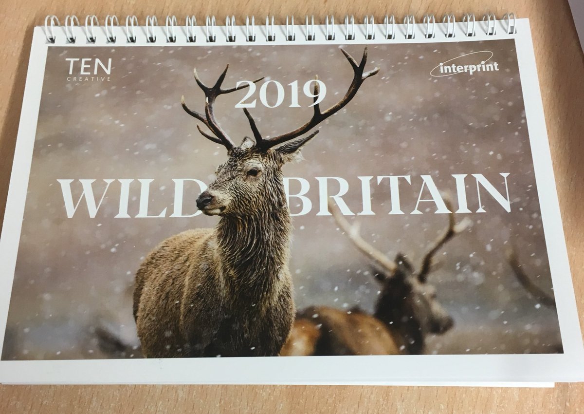 Rhinobds tweet media