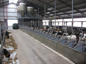 AgriHolland's tweet image. #vacature @SFR_lelystad: #Bedrijfsleider #Rundvee bij Schothorst Feed Research te Lelystad diergezondheid #rundvee #veevoeding feed dierverzorger bedrijfswoning #melkvee has veehouderij. Zie agriholland.nl/vacaturebank/v… …