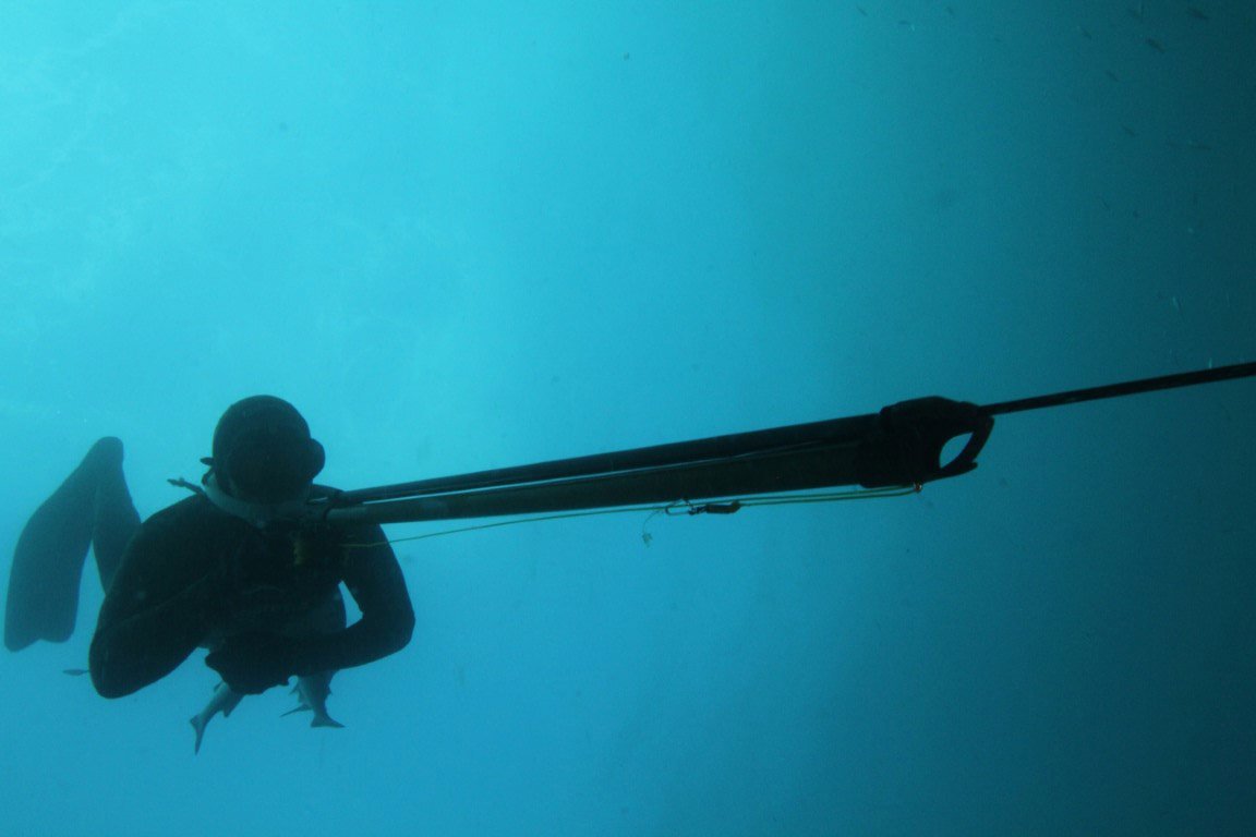 MarDestorias's tweet photo. 🐟 Algarve has witnessed the birth of two people who make the sea their home and who have been distinguished by it: Teresa Duarte &amp; Jody Lot. Get to know their stories - https://t.co/m5K4wq6Awt. #spearfishing #worldchampions https://t.co/gidVcdjfMl