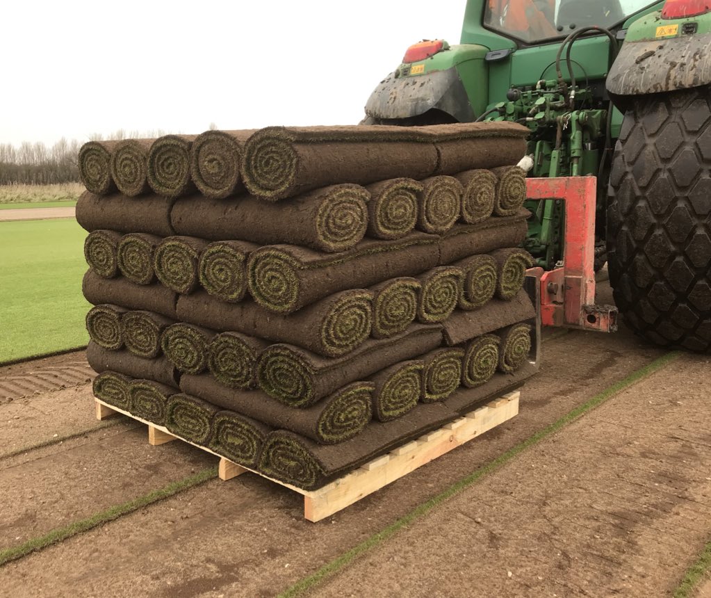 tillersturf's tweet photo. Quality Fescue Harvest with the new TSR from @TrebroUk @TrebroMfg https://t.co/YOX9C5Hv54
