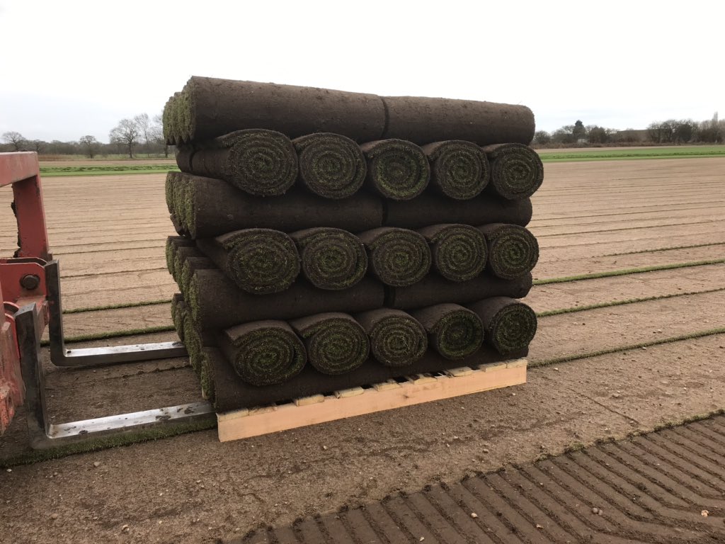 tillersturf's tweet photo. Quality Fescue Harvest with the new TSR from @TrebroUk @TrebroMfg https://t.co/YOX9C5Hv54