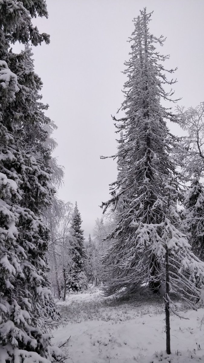 UnelmaaLand's tweet photo. No sun or light. Everything seems to be black and white. https://t.co/TkPXfgUvE7