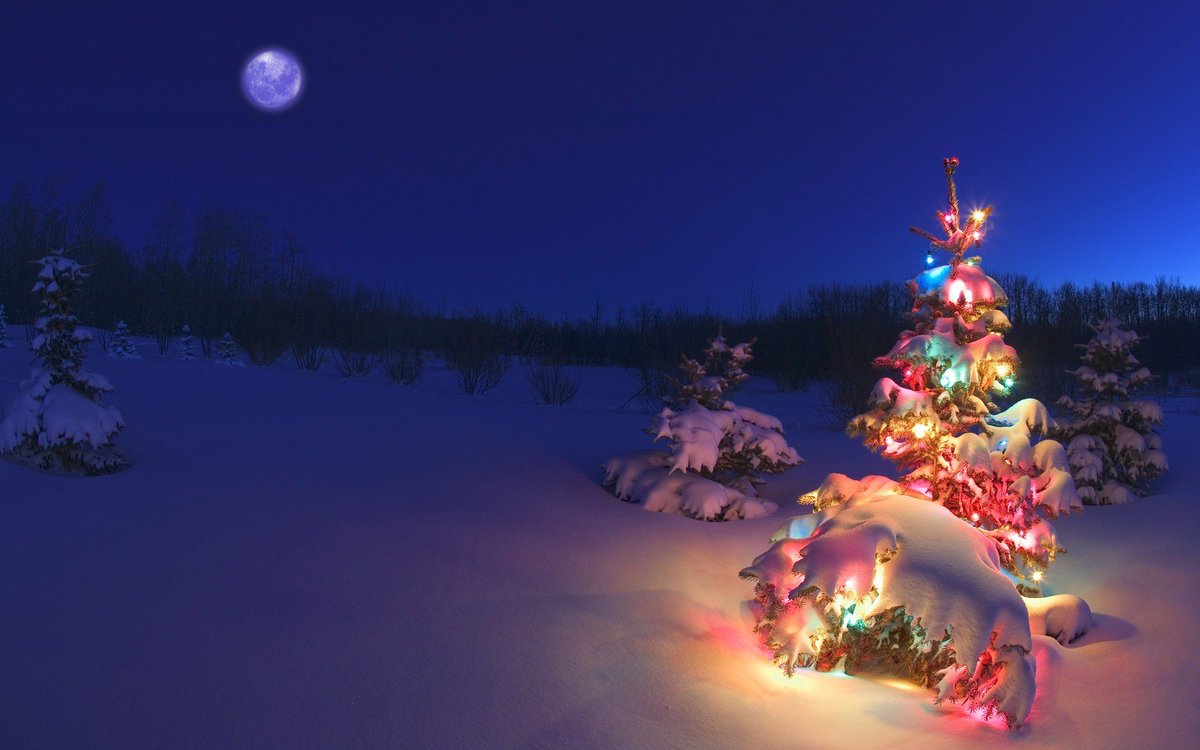 wallpaper_nice's tweet photo. Get some fantabulous Christmas Desktop Backgrounds totally free.
Download such amazing wallpapers in HD print @ https://t.co/sfQlMzIYOH
#ChristmasWallpaper #MarryChristms #DesktopWallpaper #MobileWallpaper #3DWallpaper #WallpaperDownload #HdWallpaper #HDNiceWallpaper https://t.co/1xEvrNZplj