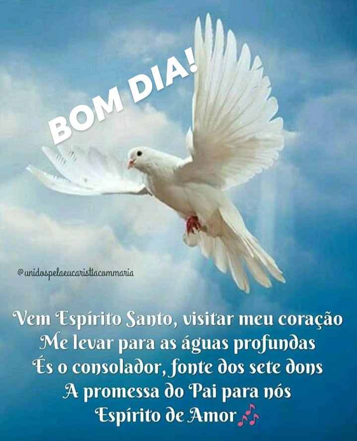 SHALOM !!!🙏🔥🌻QUEM COMO DEUS! NINGUÉM COMO DEUS! on Twitter: SHALOM !!!🙏🔥🌻QUEM COMO DEUS! NINGUÉM COMO DEUS! on Twitter: