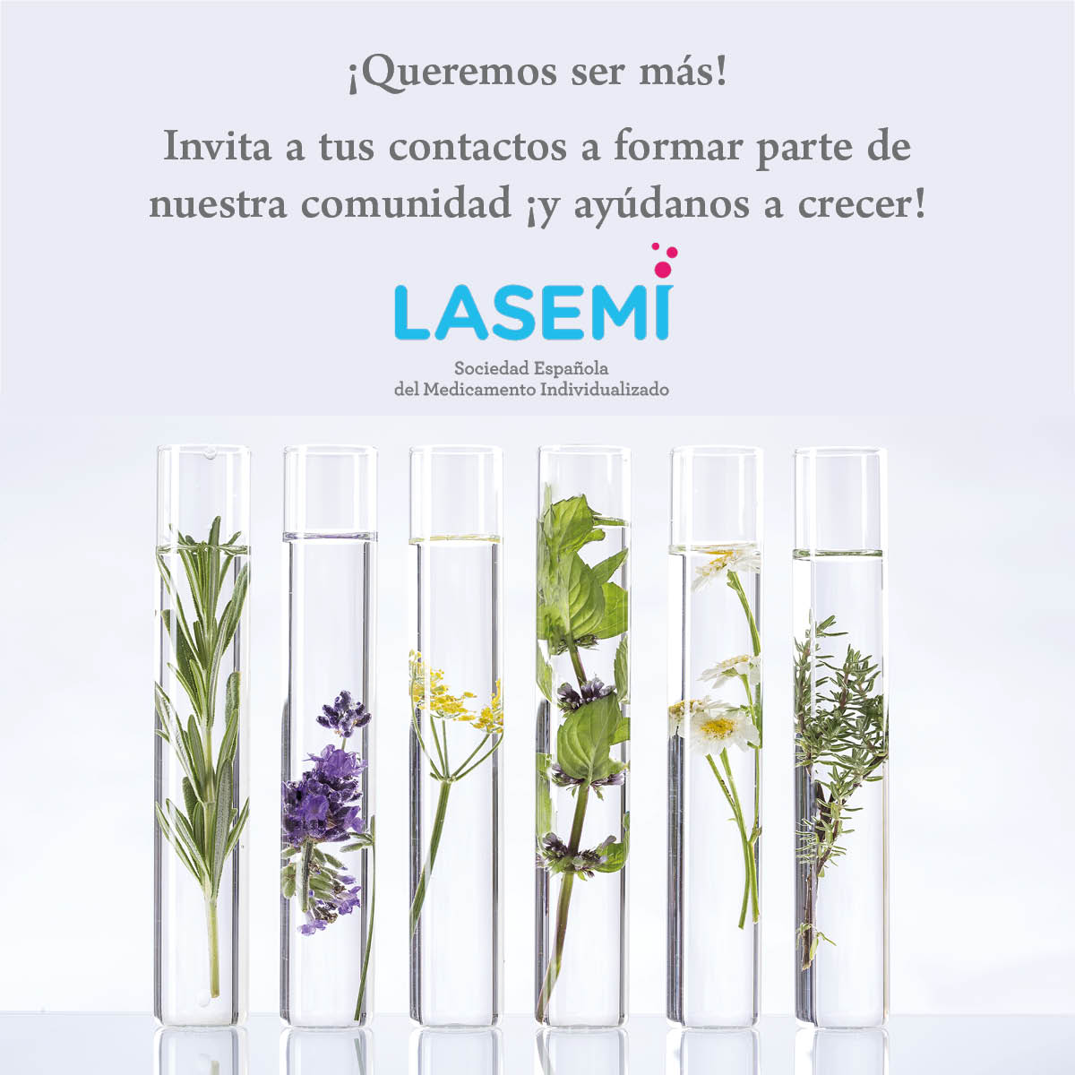 LASEMI tweet media
