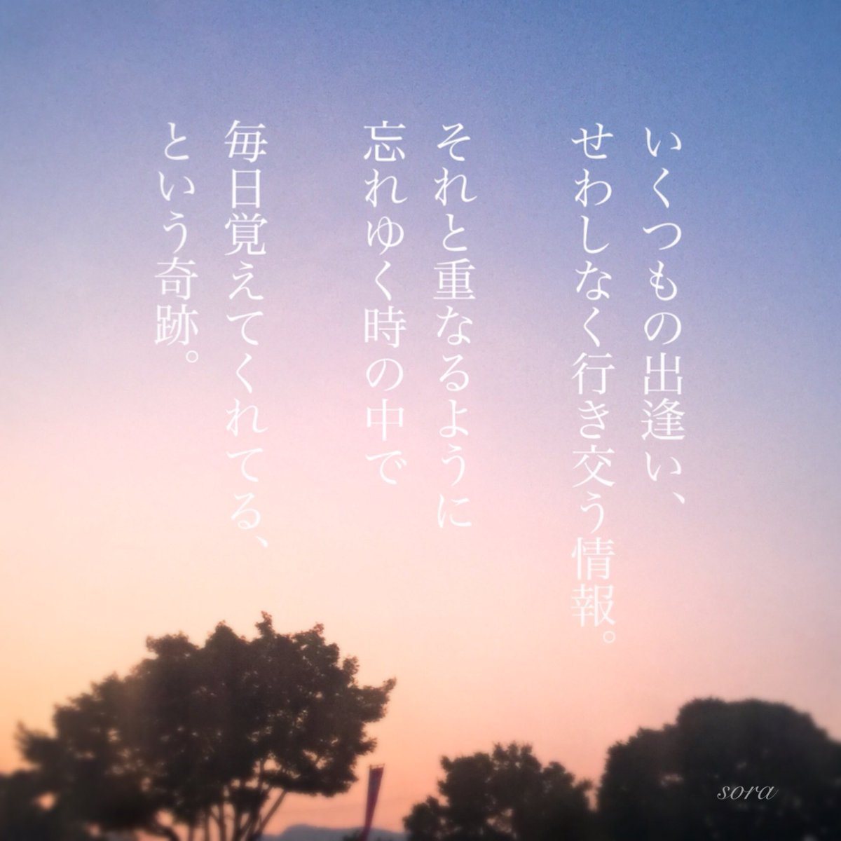 ソラ 奇跡の毎日をありがとう ありがとう Sora 恋愛ポエム 恋愛 恋 Poem ポエム 言葉 Pic Love Loveletter T Co 9ikcwuj0p7 Twitter