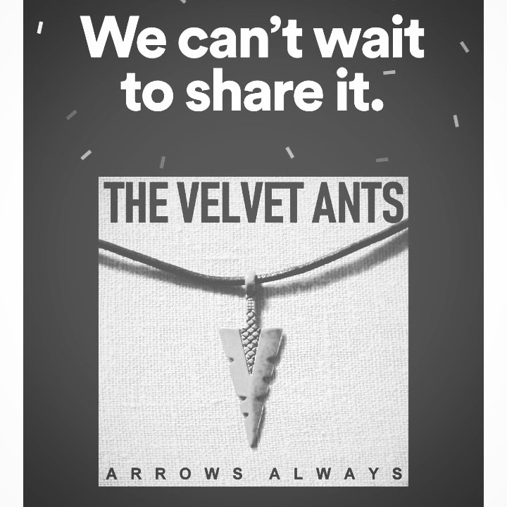 VelvetAnts's tweet photo. Pledge campaign is funded! All formats are in production. Album will be released Jan. 1st. Orders open until March 1st. We hope you enjoy #ArrowsAlways https://t.co/y6X6DuytSi