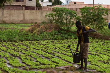 ZEFbonn's tweet photo. On the road: ZEF's researchers in #Mali and #Niger to develop sustainable water, energy and food options. 
#RARSUS #Africa #foodsecurity #Niamey #Bamako #agriculture @BMBF_Bund 

Read full story here: https://t.co/IWxLdJ7PzI https://t.co/Qopo9u4irm