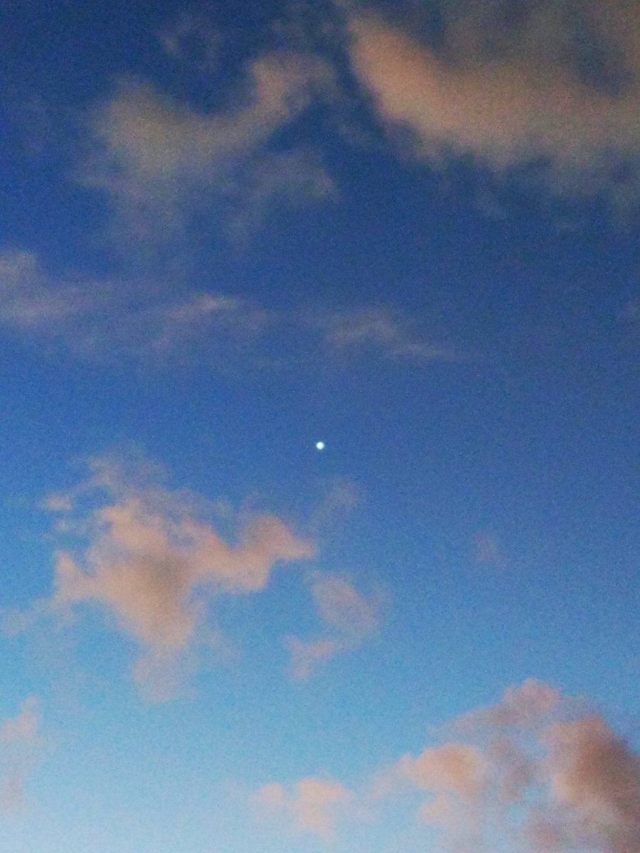 dawnpunter's tweet photo. What was reflecting the sun just before sunrise this morning? Is it #venus with its acidic clouds or some kind of space junk? There were no other stars/planets visible
#space #spacequestion #spaceship https://t.co/3IMEAw57rf