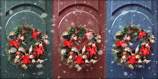 SEASON'S GREETINGS TO ALL OF OUR WONDERFUL PATIENTS, PAST AND PRESENT! We are open as normal this week, open xmas eve a.m. and then I am afraid we are closed until Wednesday 2nd Jan.
A few appts available so hurry  Call 01594840897
HAVE A GOOD ONE  (photo Jocelyn Erskine-Kellie)