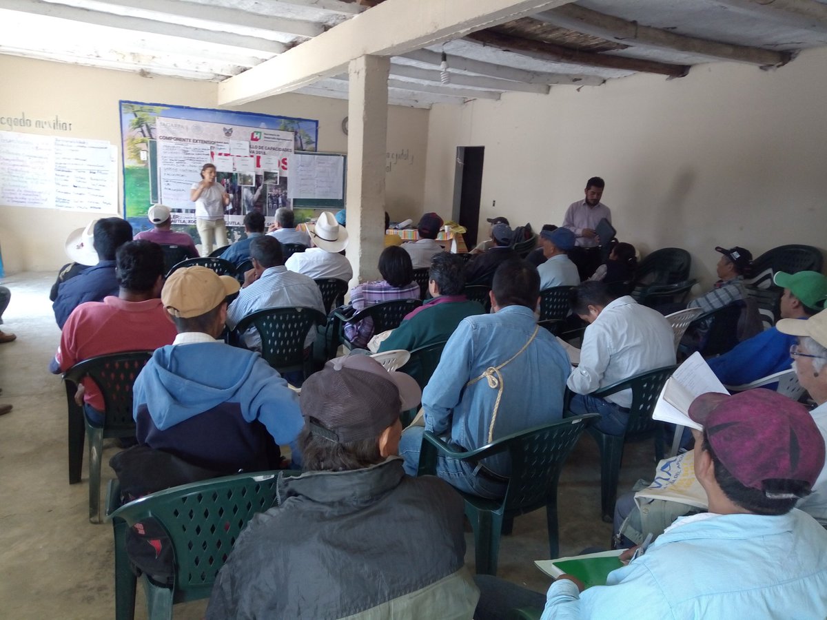 hermenindo's tweet photo. @pspzamudio @SEDAGRO_HIDALGO @EduardoVM19 @crpachtula @chimalisra @jvfalcon2 De miel convencional transición para la miel orgánica objetivo común de los productores de miel de la huasteca https://t.co/pJet2LEfxS