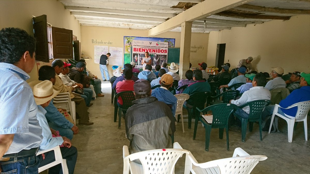 OswaldZaragoza's tweet photo. En #ExtensionismoHIDALGO Vinculamos apicultores con la empresa #CAPIM para hacer un  comercio Justo en la venta de la Miel en la Huasteca. @SEDAGRO_HIDALGO #SubSria_DesarrolloRural @Car_Muniz @ecarizpe @EduardoVM19 @jvfalcon2 https://t.co/KIs2p2gnpj