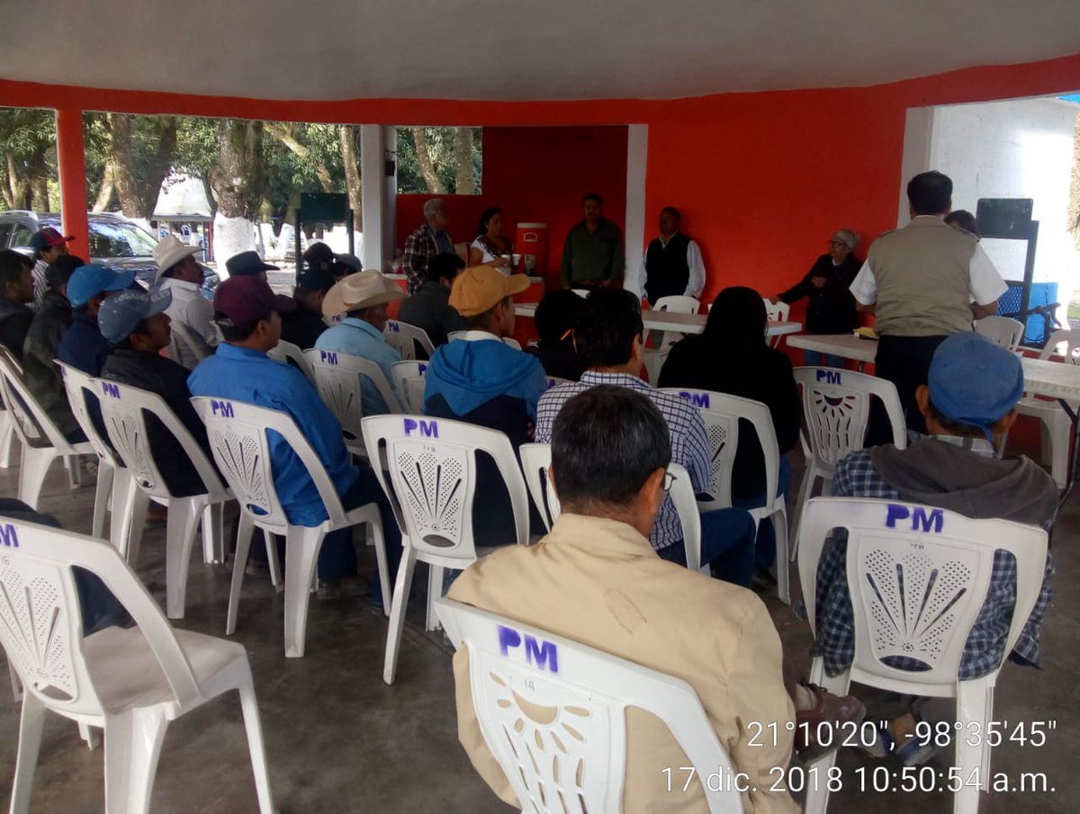 OswaldZaragoza's tweet photo. En #ExtensionismoHIDALGO Vinculamos apicultores con la empresa #CAPIM para hacer un  comercio Justo en la venta de la Miel en la Huasteca. @SEDAGRO_HIDALGO #SubSria_DesarrolloRural @Car_Muniz @ecarizpe @EduardoVM19 @jvfalcon2 https://t.co/KIs2p2gnpj