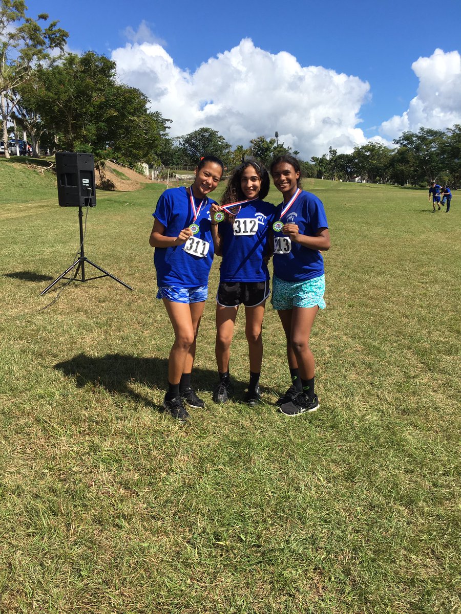 A.A.E.C.A. tweet media