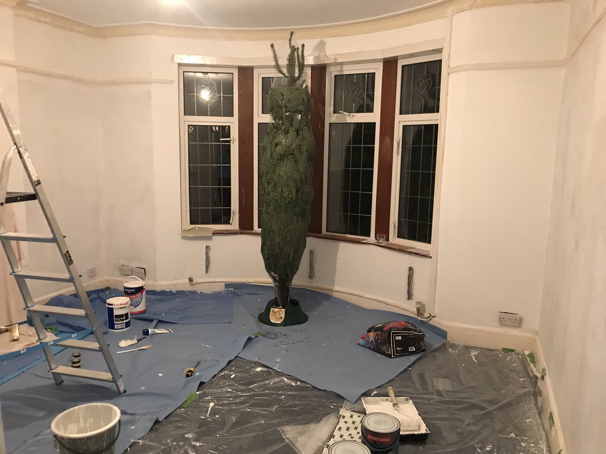 lowri_bowen's tweet image. Huge thanks to @avantbrown @dentos21 (and @jabber_taff too) for bringing Maximus the tree to the bay window. He’s just settling down and admiring the ceiling whilst awaiting the trimmings and the rest of the room to be painted!! #correctsize #8ftlovely